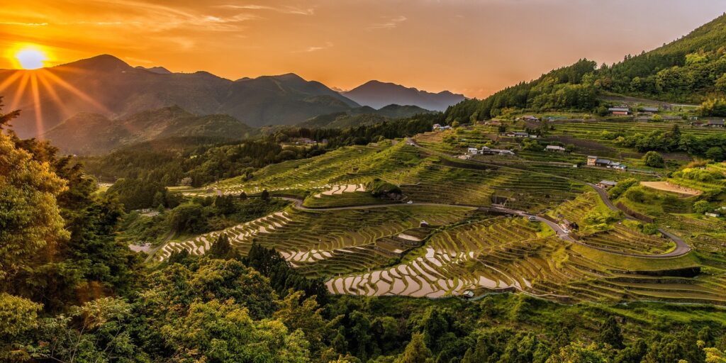 rice terraces