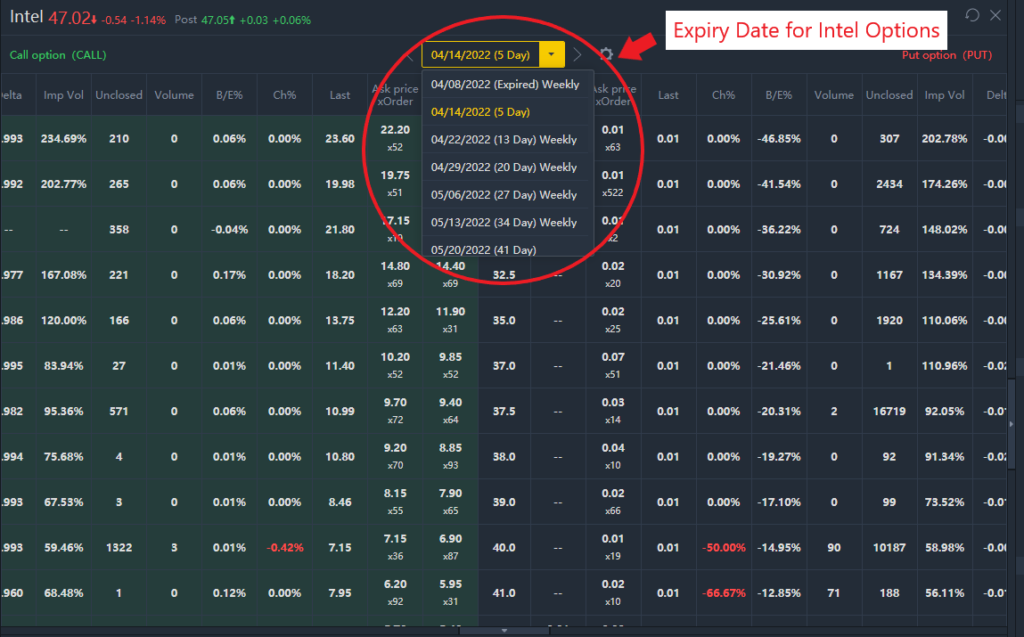 Options Expiry Date Example (Intel)