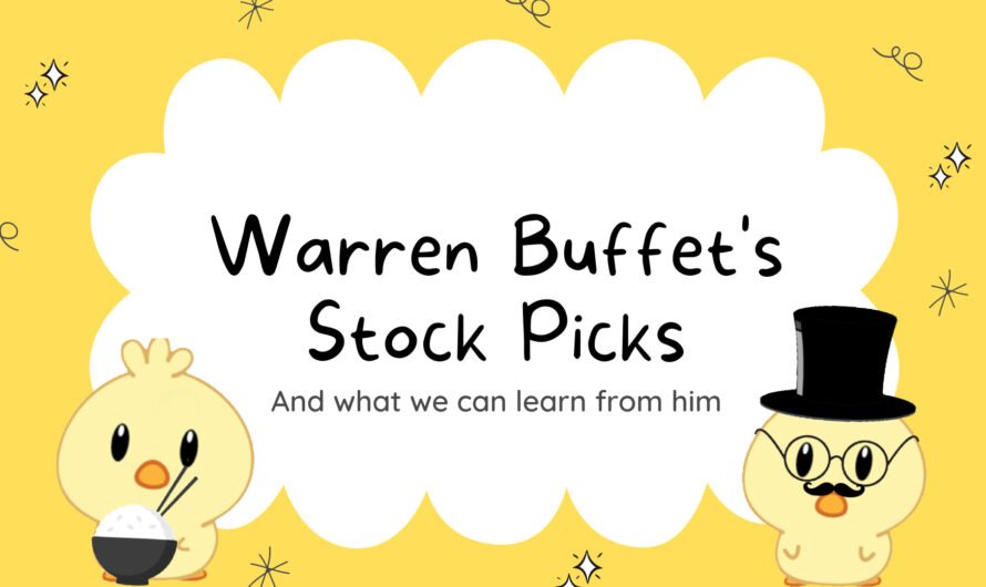 Warren Buffett stock picks and what to learn from him